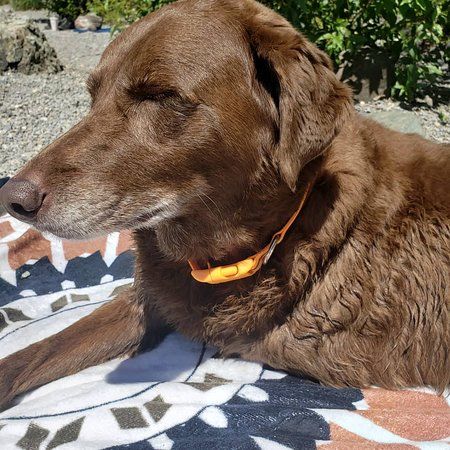 Les Mason State Park